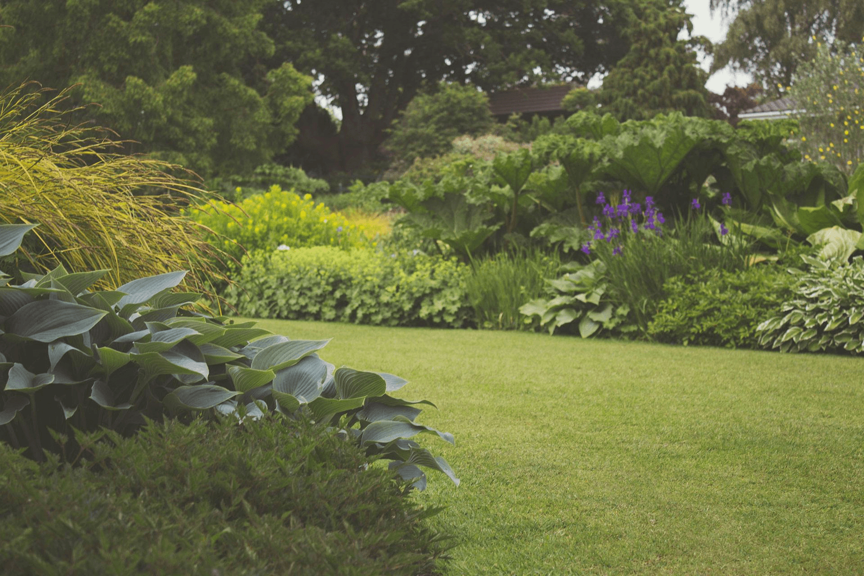 Professional landscaping services in Victoria